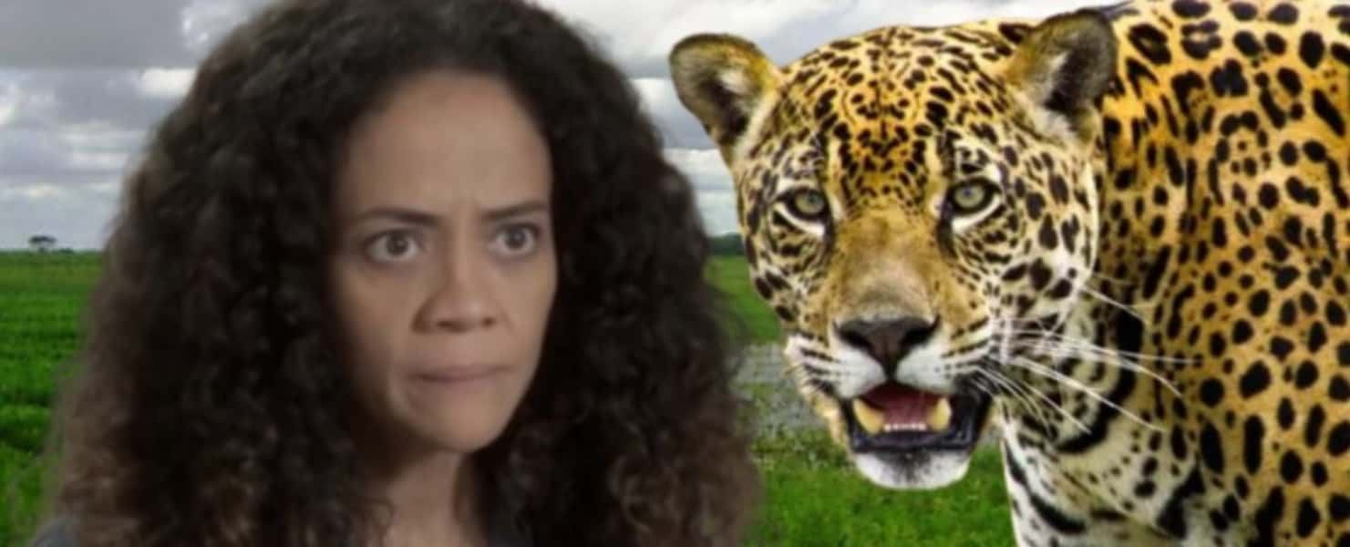 Pantanal - Zuleica (Aline Borges) vira onça ao saber que sucuri engoliu seu filho Roberto (Cauê Campos): "Pelo amor de Deus" (Foto: Reprodução / Globo / Montagem TV Foco)