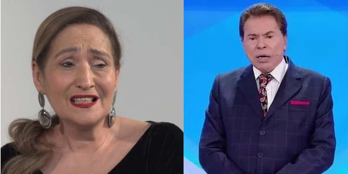 Sonia Abrão se revolta com o que está sendo relatado de Silvio Santos e ataca: "É uma coisa ridícula" - Reprodução