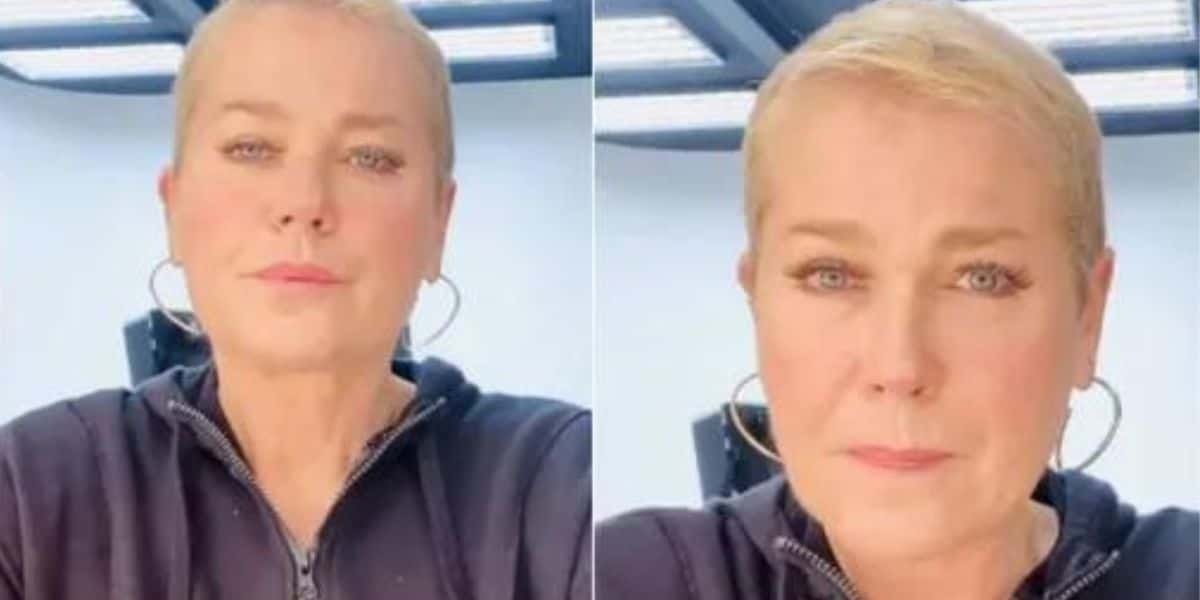Xuxa Meneghel relata doença de cachorra e revela quanto gastou com crianças - Reprodução