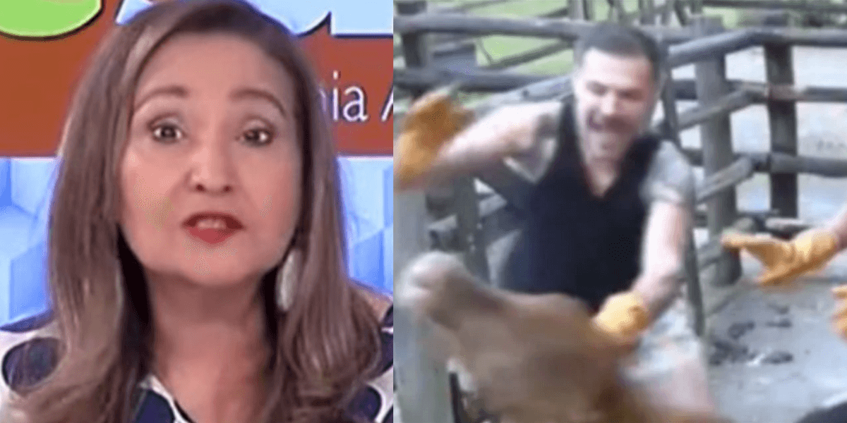 Sonia Abrão pede intervenção em A Fazenda 14 e se revolta com cenas (Foto: Reprodução)
