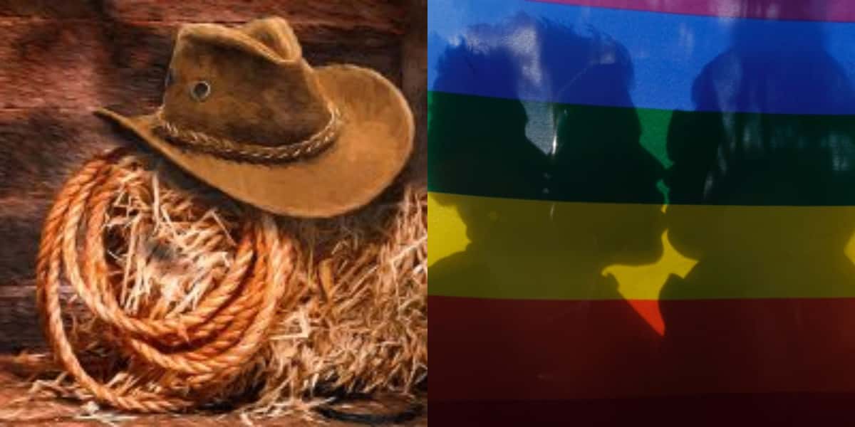 Filho de sertanejo é gay e falou do pai (Foto: Reprodução)