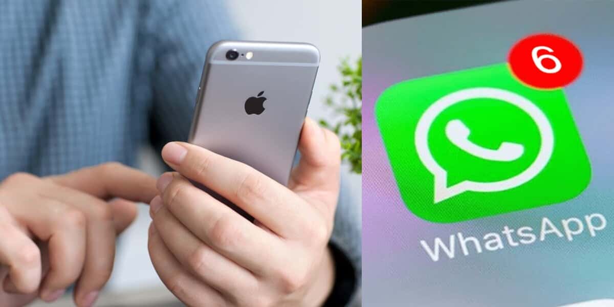 Donos de iPhone ganharão mimo em nova versão do WhatsApp (Foto: Reprodução / Internet)