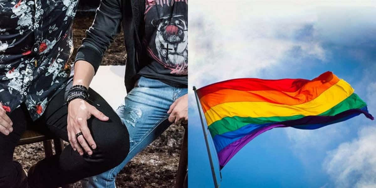 Sertanejos fazem parte da comunidade LGBTQIA+ (Foto: Reprodução/Instagram/Twitter)