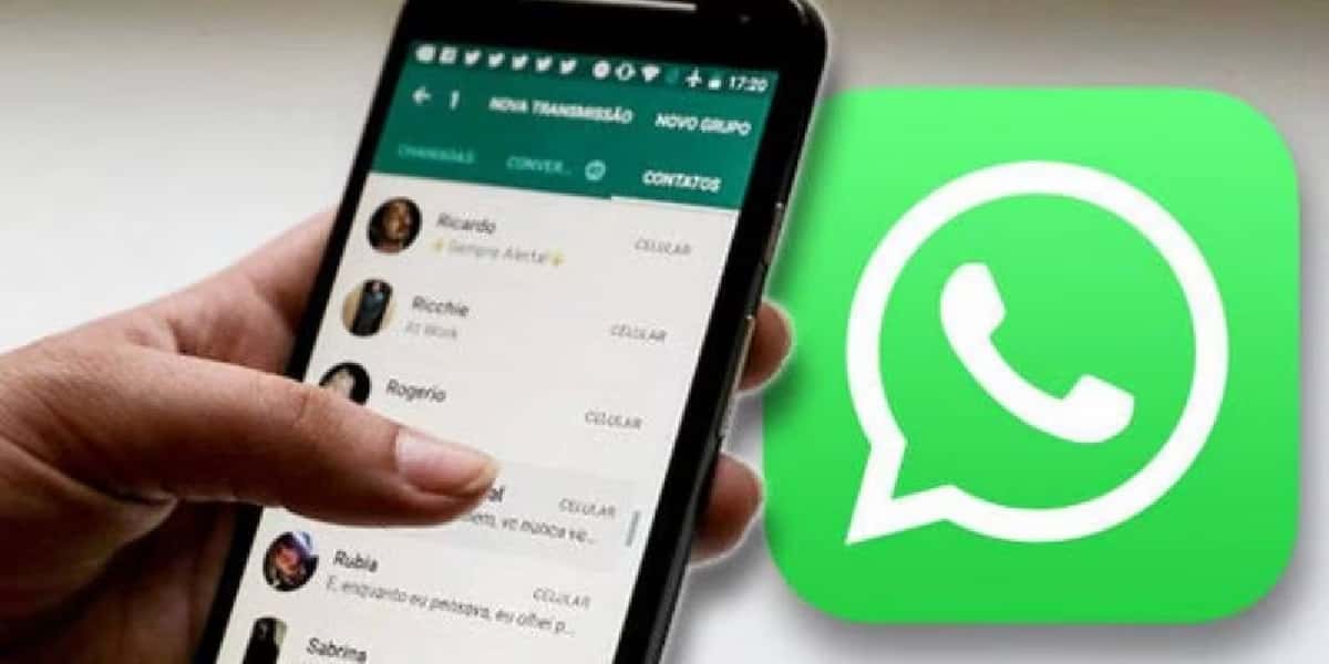Plataforma do WhatsApp (Foto: Reprodução/ Internet)
