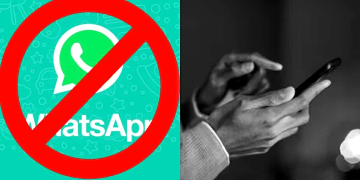 WhatsApp vai parar de funcionar em 35 aparelhos e você precisa se atentar (Foto Reprodução/Montagem/Tv Foco)