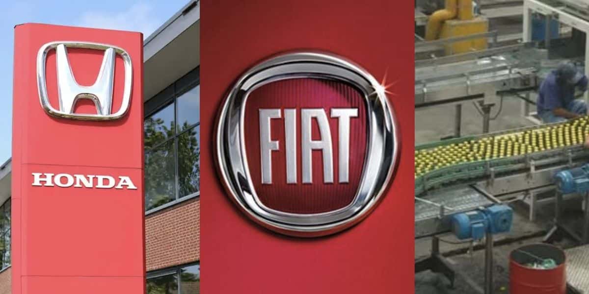 Logo Honda, Fiat e empresa (Fotos: Reproduções / Internet)