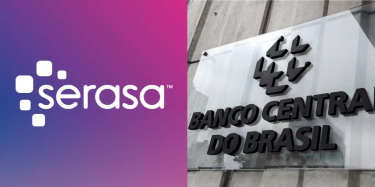 Serasa emite comunicado IMPORTANTE (Foto Reprodução/Internet)