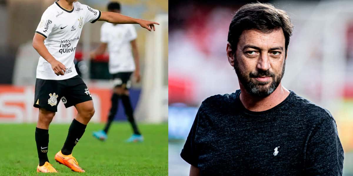 Montagem Tv Foco