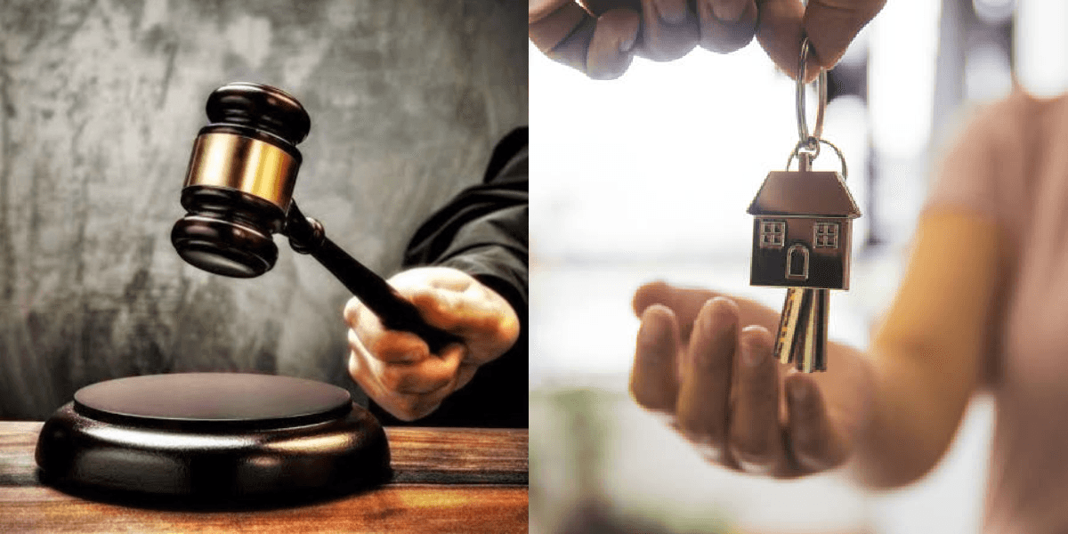 Nova lei em vigor é confirmada e cai como presente (Foto: Reprodução/ Internet)