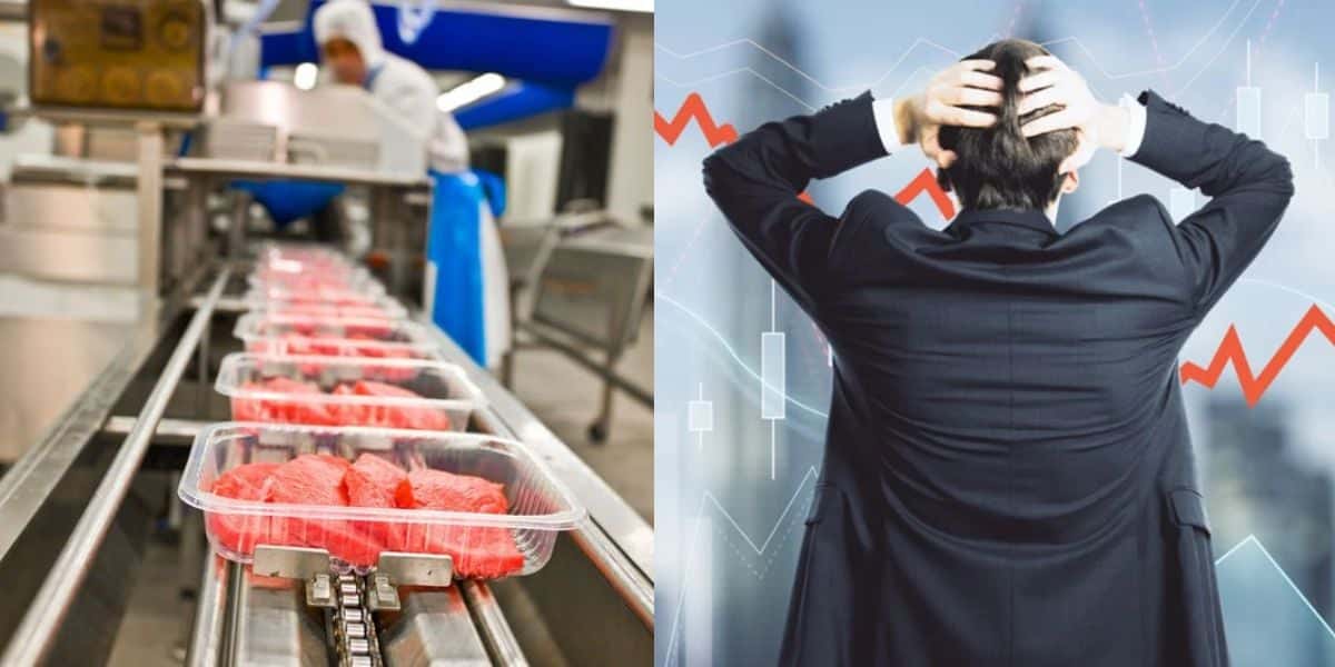 Falência de empresa alimentícia com dívida de 1 bilhão (Reprodução: Montagem TV Foco)