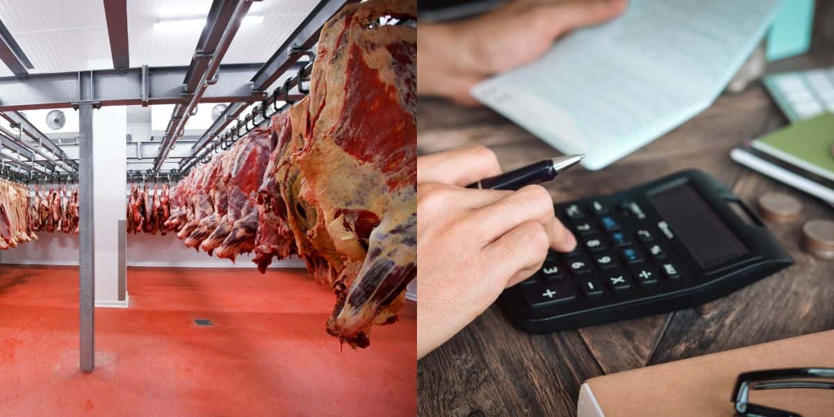 Falência de empresa alimentícia com dívida de 1 bilhão (Reprodução: Montagem TV Foco)