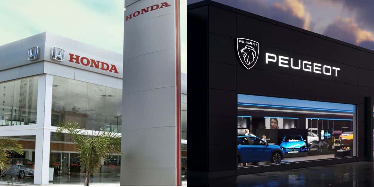 Honda e Peugeot com carros até 50 mil reais (Reprodução: Montagem TV Foco)