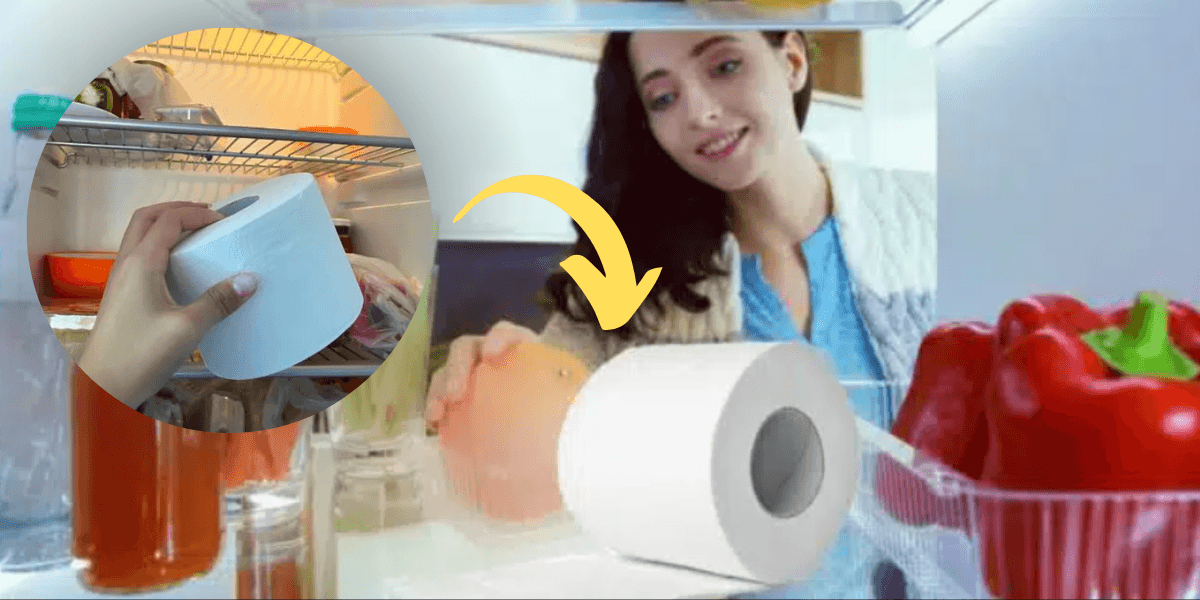 Donas de casa estão usando papel higiênico na geladeira (Foto: Internet)