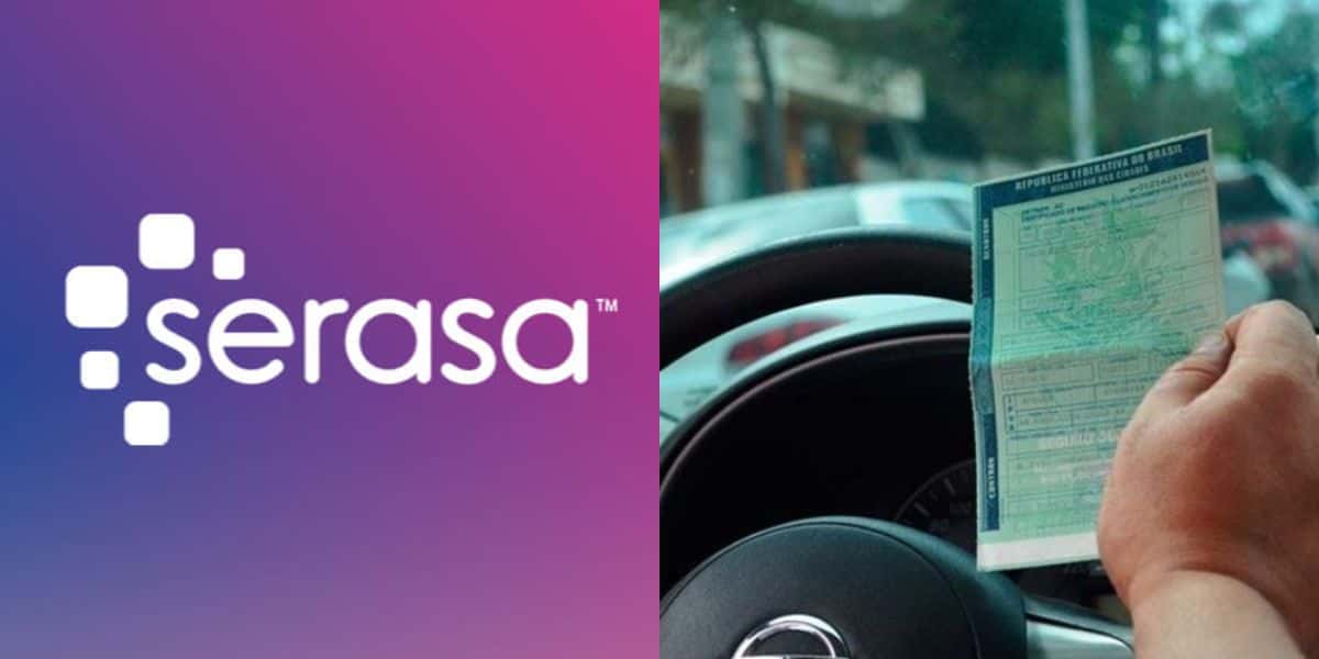 Serasa faz alerta sobre as dívidas do IPVA (Reprodução: Montagem TV Foco)