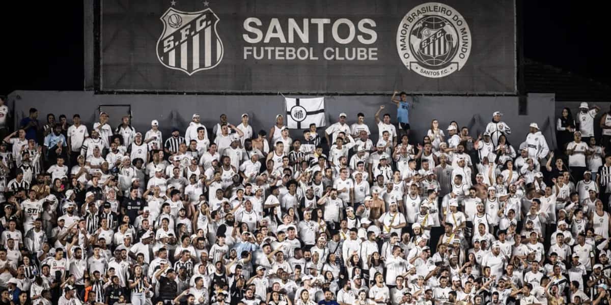 Torcida do Santos espera reforços após problema (Foto: Reprodução)