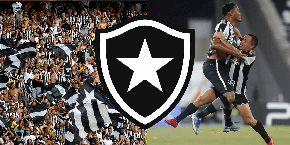 Botafogo perde jogador (Foto: Reprodução, Montagem, TV Foco)