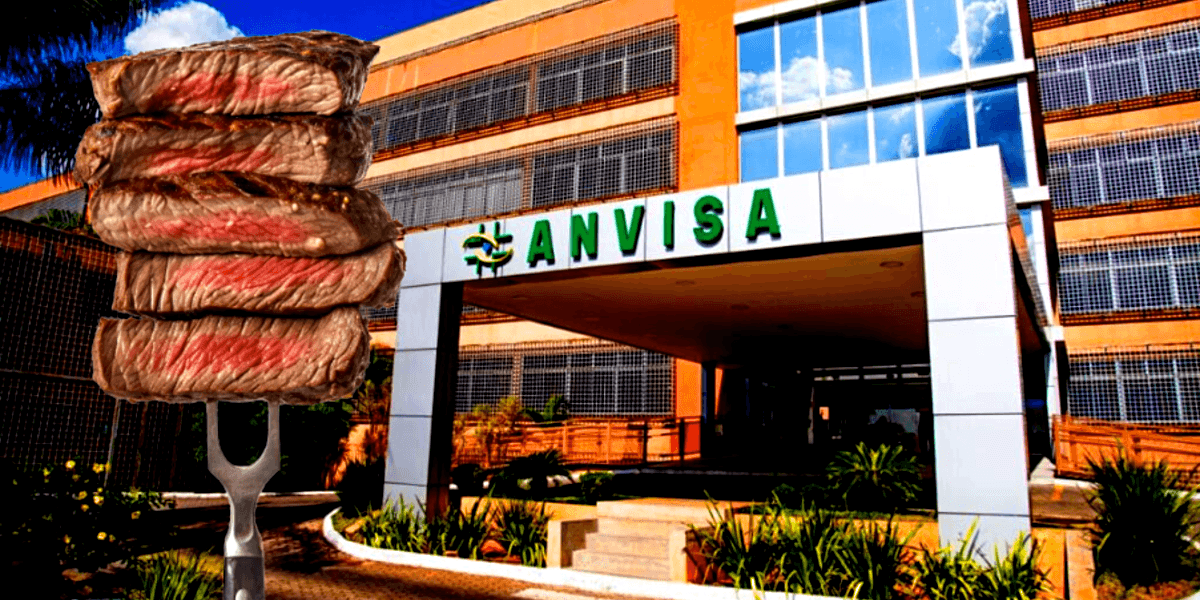 Anvisa determina proibição de lote de carnes após descoberta (Foto Reprodução/Montagem/Tv Foco)