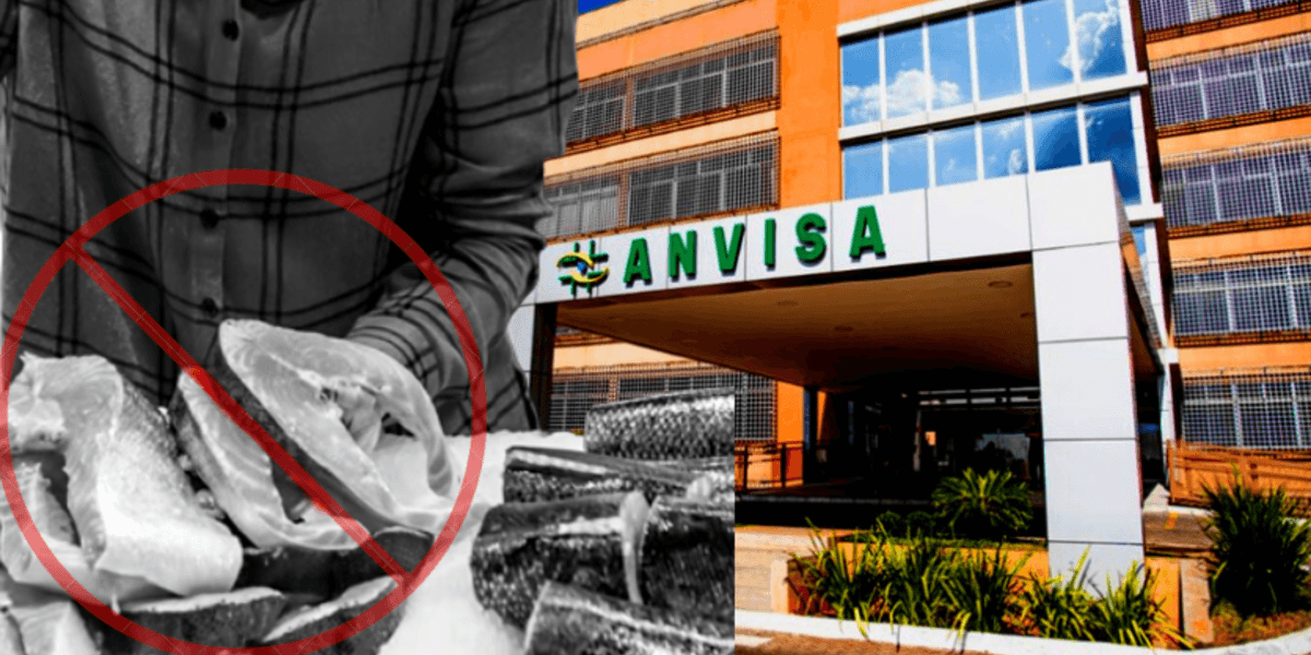 Marca de peixe é proibida pela Anvisa após apresentar riscos para a população (Foto Reprodução/Montagem/Tv Foco)