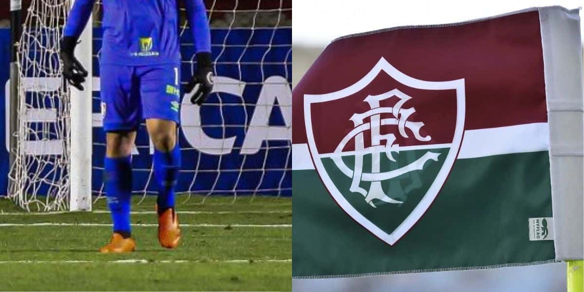 Fábio e Fluminense (Reprodução - Internet)