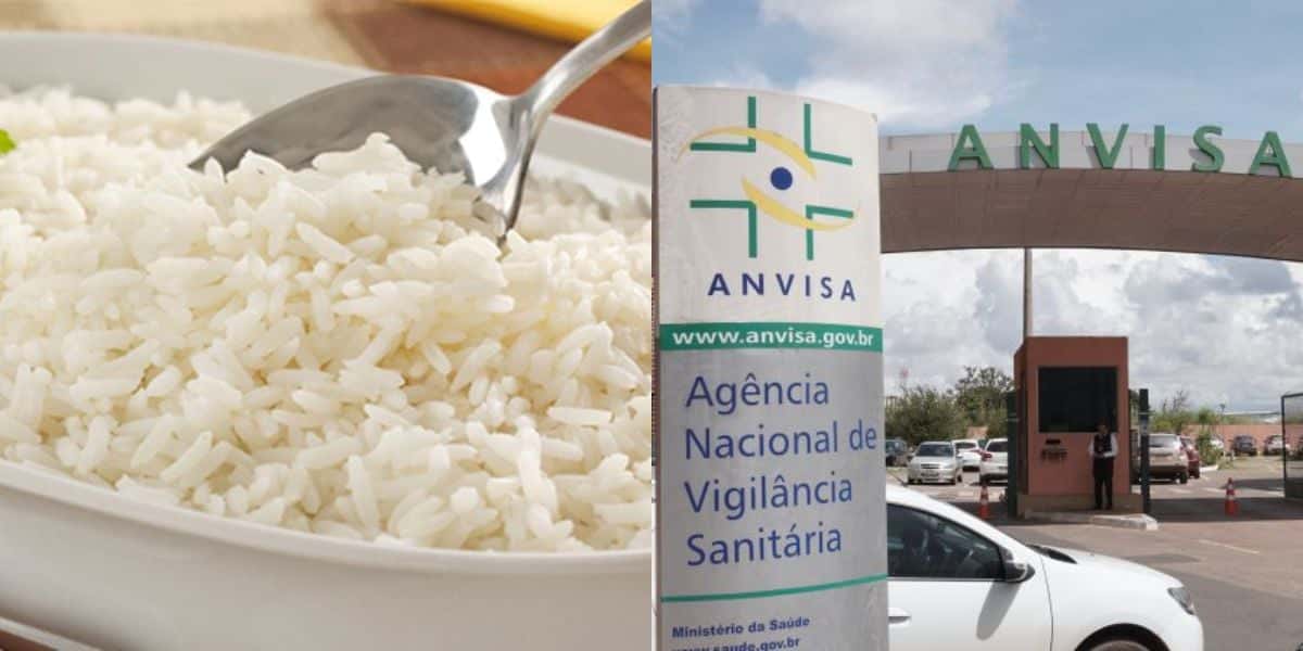 Proibição da Anvisa sobre marca de arroz (Reprodução: Montagem TV Foco)