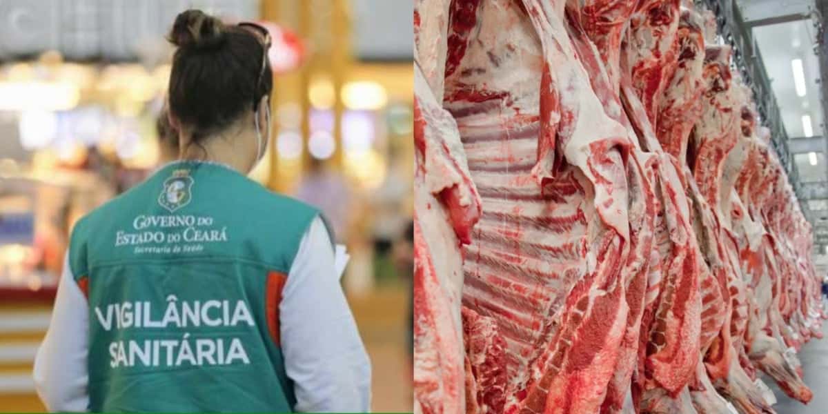 A marca de carne PROIBIDA pela ANVISA e arrancada das prateleiras - Foto: Reprodução/Internet