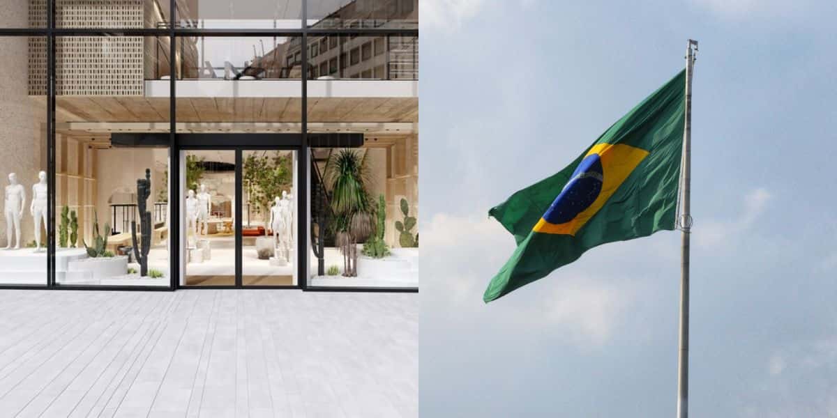 Empresa de roupas reabre no Brasil após 10 anos (Reprodução: Montagem TV Foco)