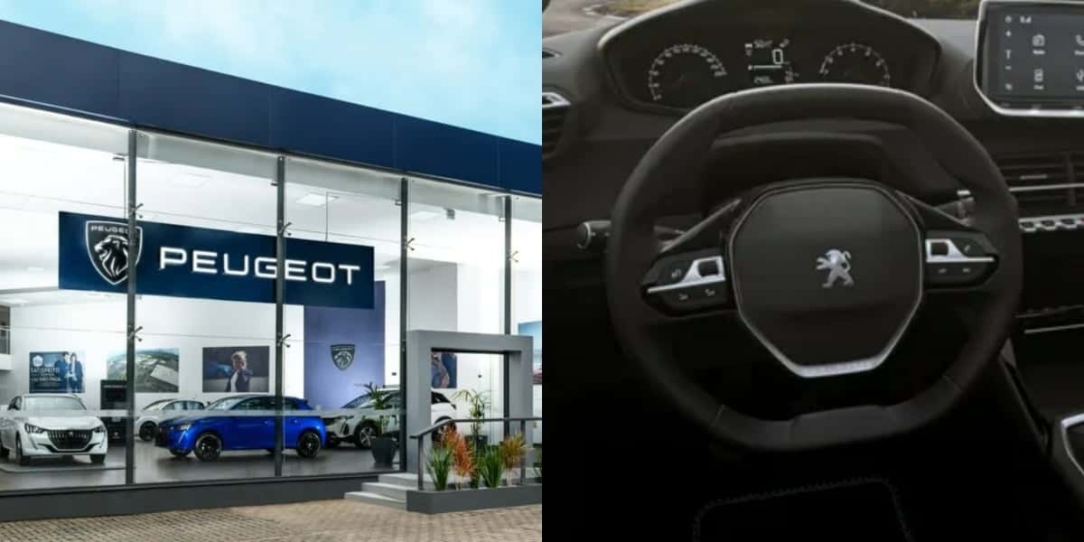 Montadora lançará carro no Brasil (Foto: Divulgação/Peugeot)