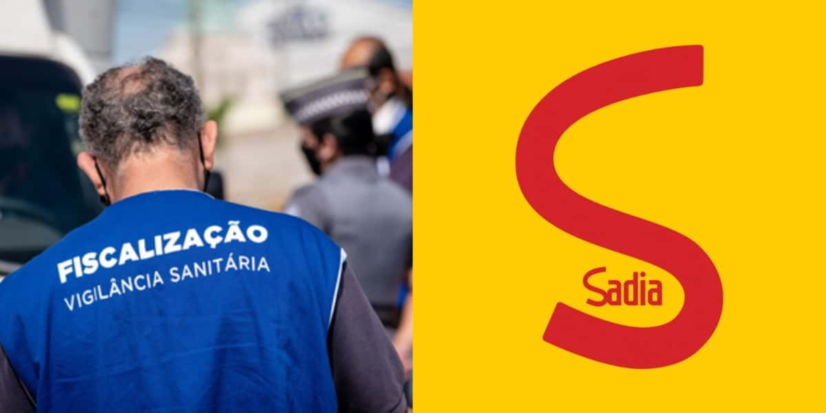 Rival da Sadia foi notificada pela Anvisa (Foto: Reprodução/ Internet)