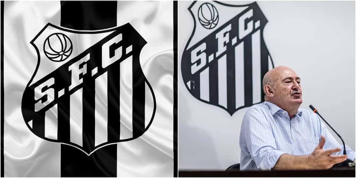 Rueda aprova busca do Santos por reforço (Foto: Divulgação)