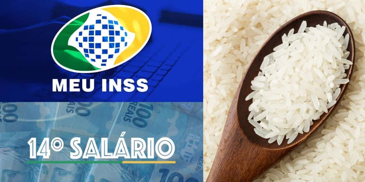 INSS - 14º salário - arroz (Fotos: Reproduções / Internet)