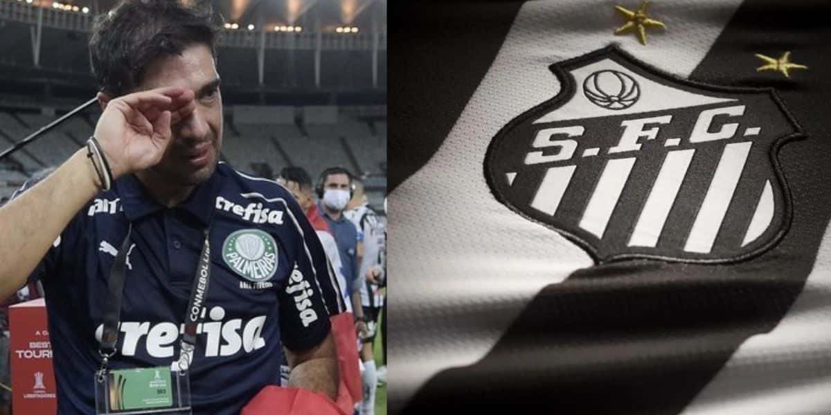 Montagem Tv Foco