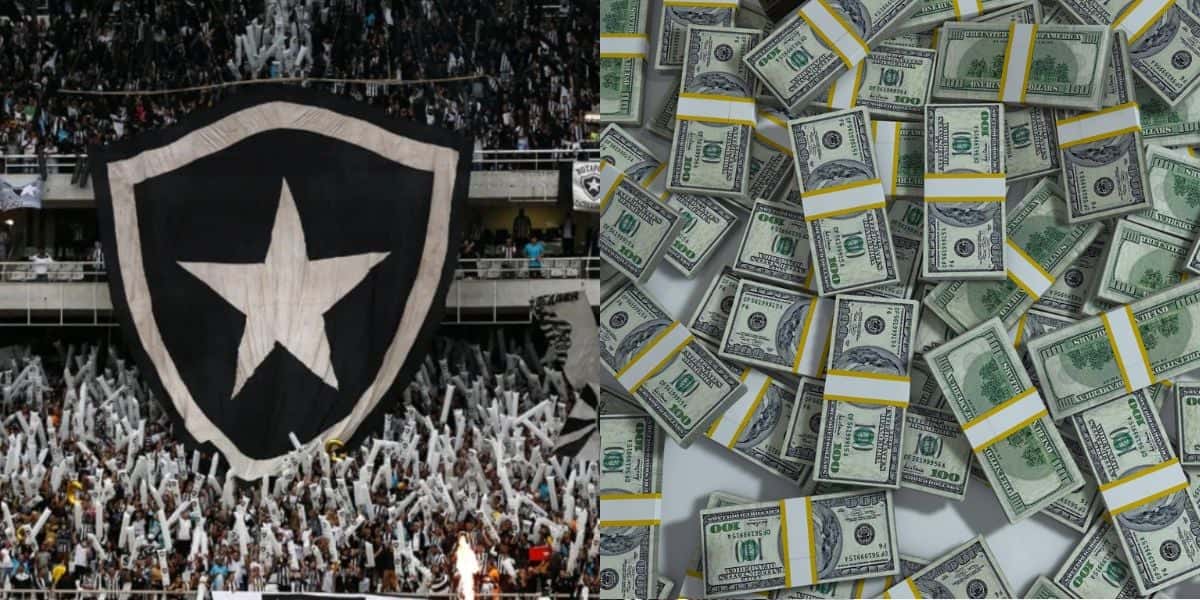 Montagem Tv Foco