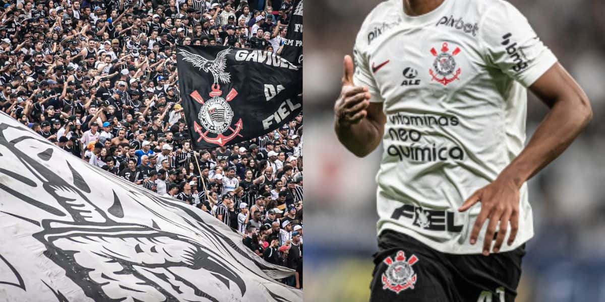 Montagem Tv Foco