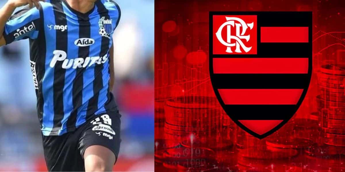 Montagem Tv Foco