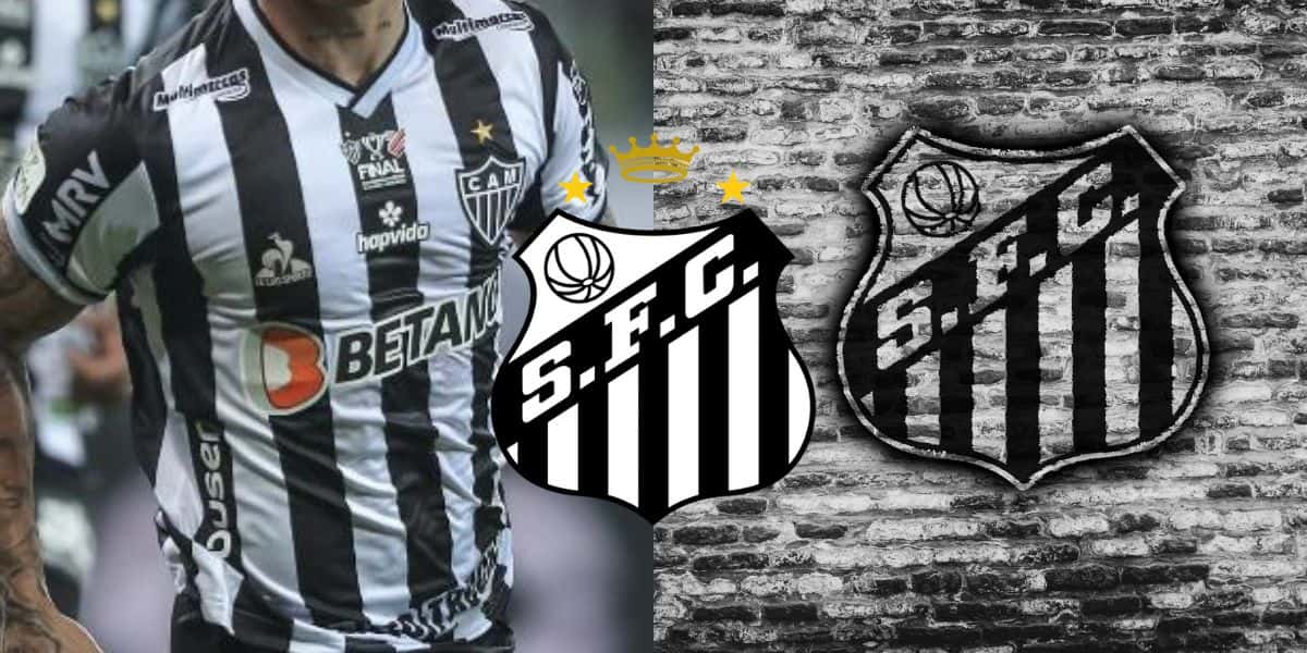 Montagem Tv Foco