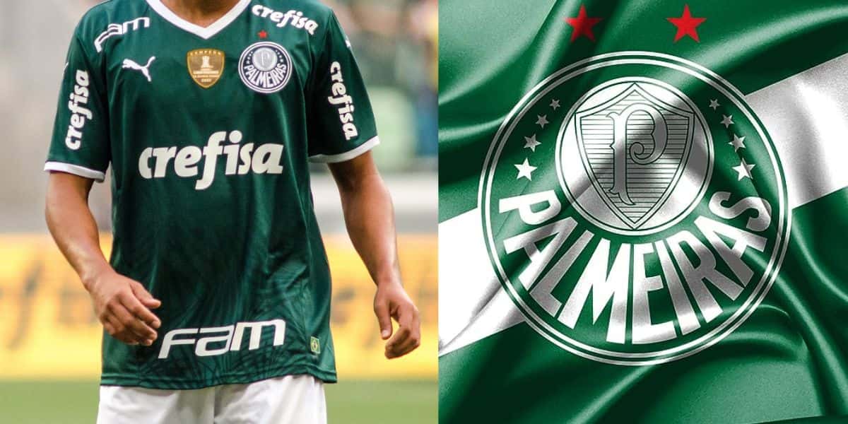 Montagem Tv Foco