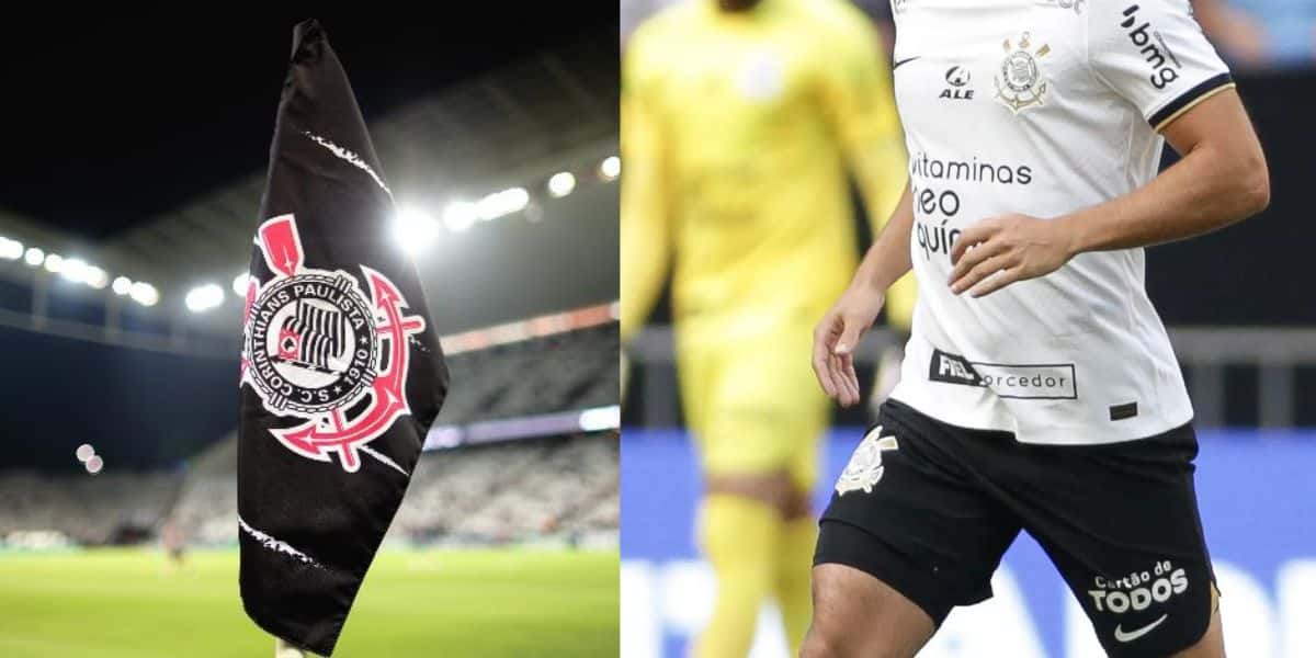Montagem Tv Foco