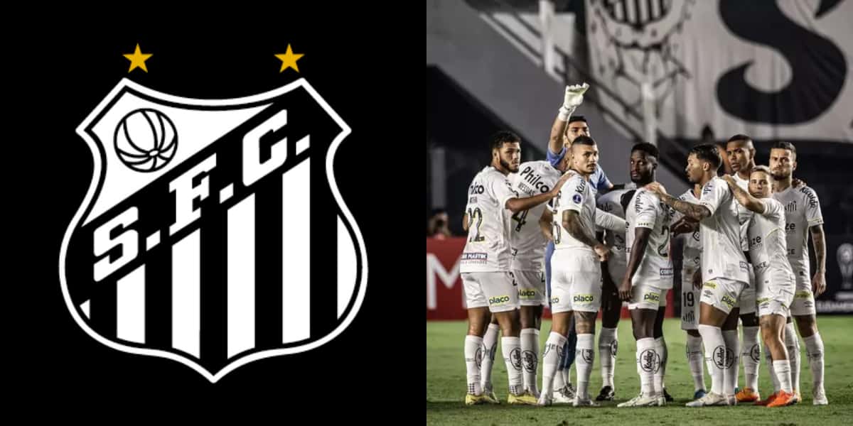 Santos acaba de perder reforço de peso (Foto: Divulgação/Internet)