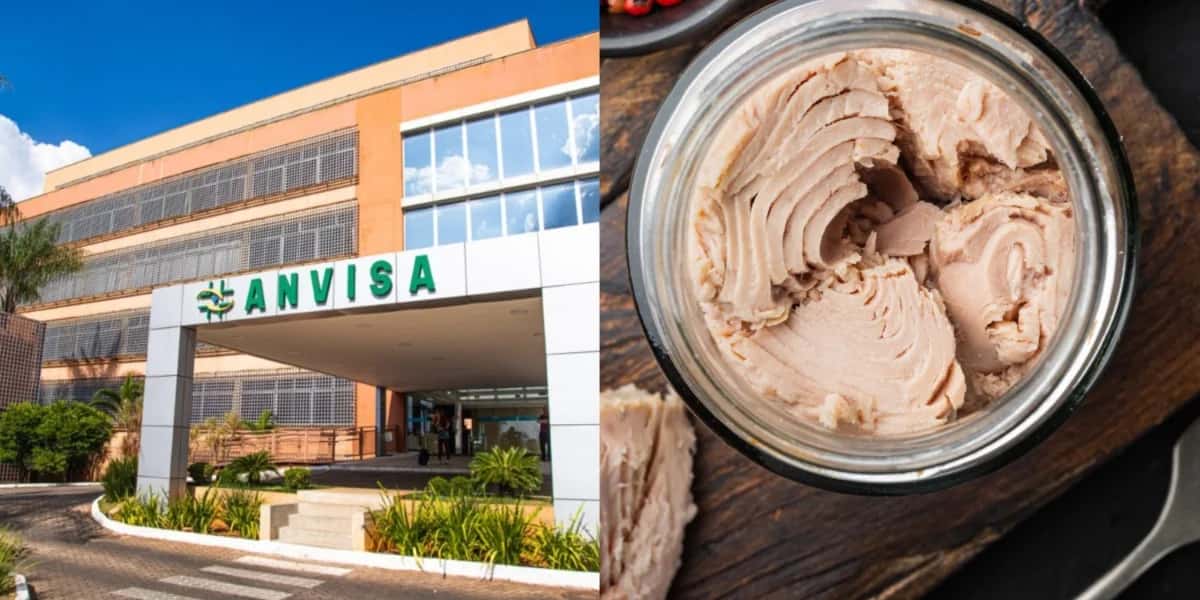 Anvisa proíbe distribuição de produto de marca de peixe - (Foto: Reprodução / Internet)
