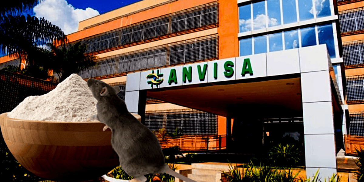 Marca querida de farinha sofreu intervenção da ANVISA após denúncia (Foto Reprodução/Montagem/Tv Foco)