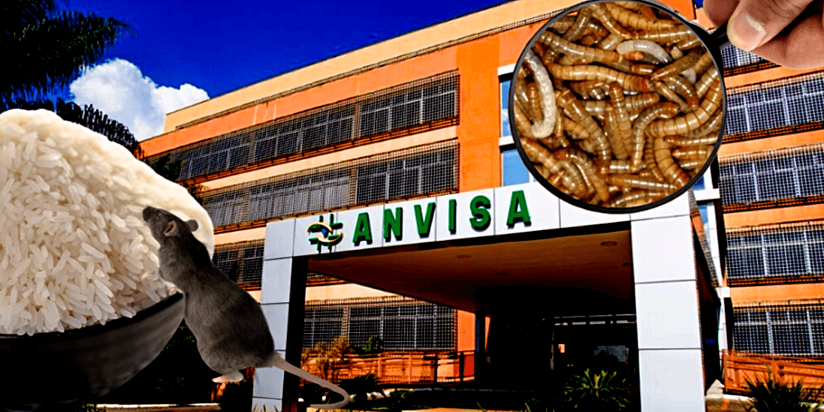 Anvisa determinou a proibição de marca de arroz após grave descoberta (Foto Reprodução/Montagem/Tv Foco)