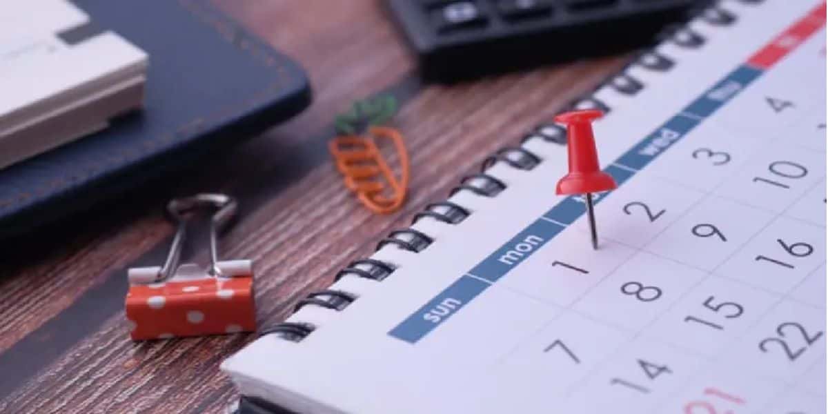 Calendário anual - Foto: Reprodução