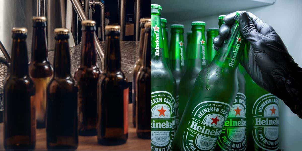 Cervejaria Malta chegou a concorrer com a Heineken em vendas (Foto: Montagem TV Foco)