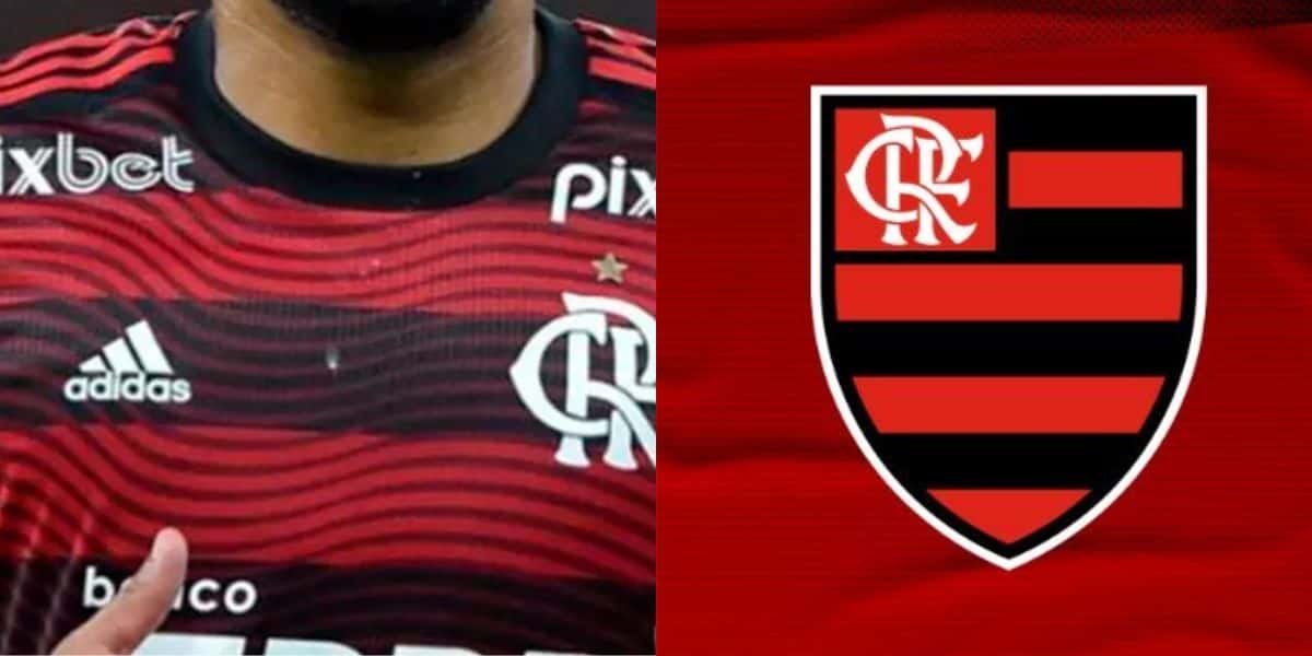 Montagem Tv Foco