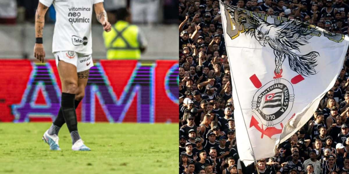 Montagem Tv Foco