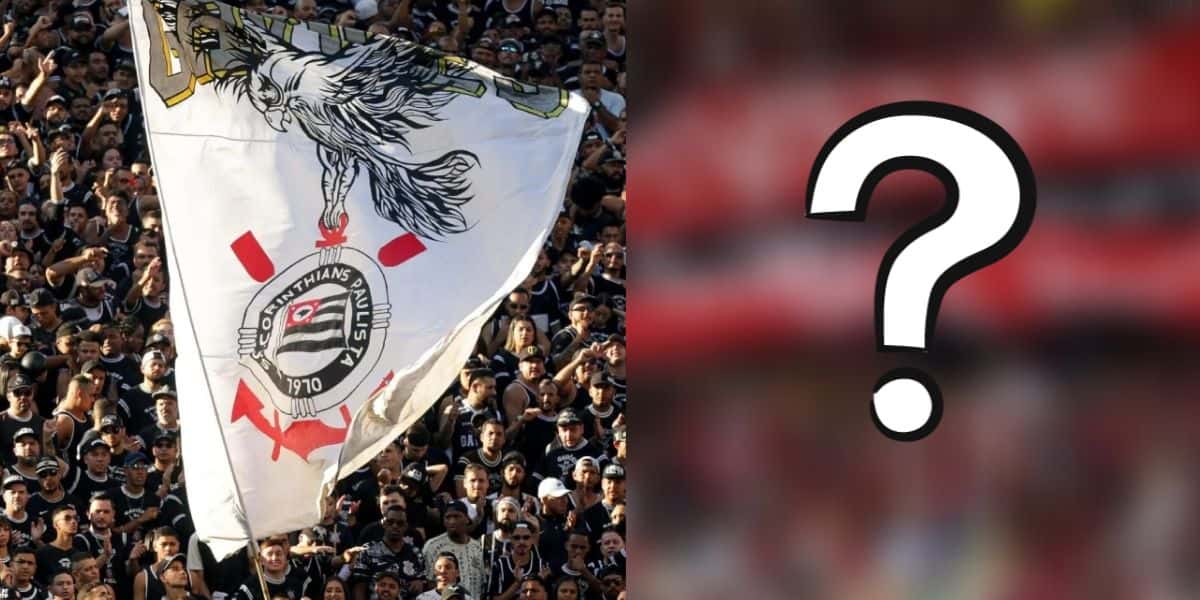 Montagem Tv Foco