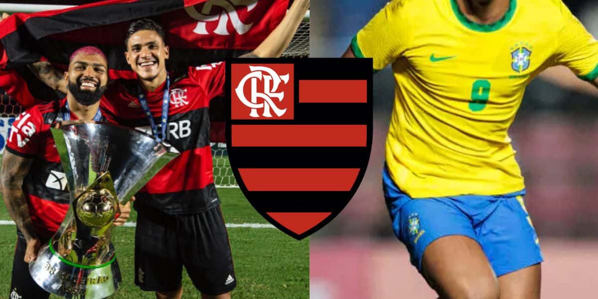 Montagem Tv Foco