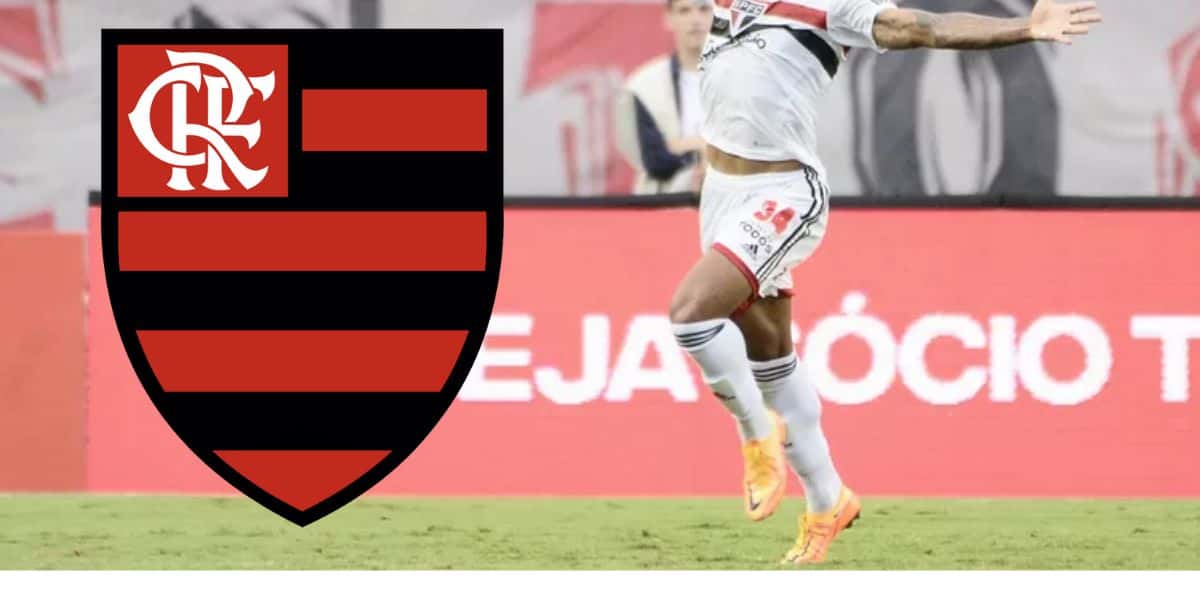 Montagem Tv Foco