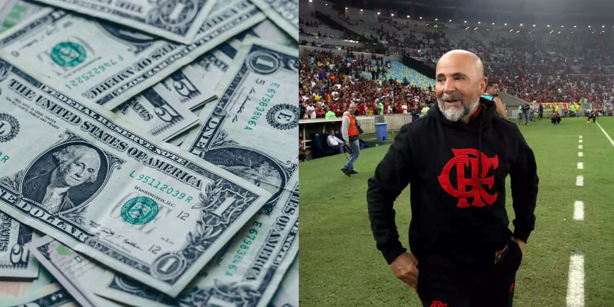 Montagem Tv Foco