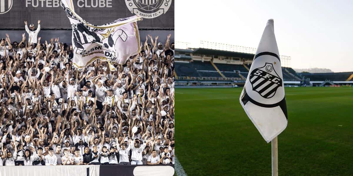Montagem Tv Foco